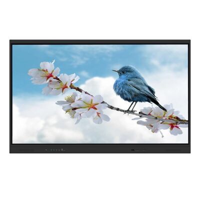 65 75 86 98 polegadas Interativo Painel Flat Interativo Suporte de Whiteboard Sistema Duplo