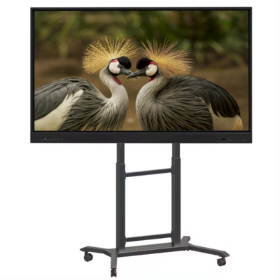 Fabricante IBoard 65 polegadas Interativo Whiteboard Smart Board Interativo Painel Flat Smart Digital Touch Screen Sistema Duplo Para Escritório de Ensino Escolar