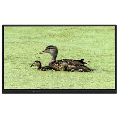 Tabuleiro interativo de 65 polegadas com armazenamento 8+128G e toque infravermelho para ensino e reuniões