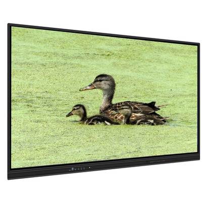 Tabuleiro interativo de 65 polegadas com armazenamento 8+128G e toque infravermelho para ensino e reuniões