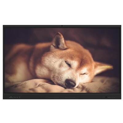 IBoard mais recente Interactive Whiteboard 86 polegadas Smart Displays Interativos