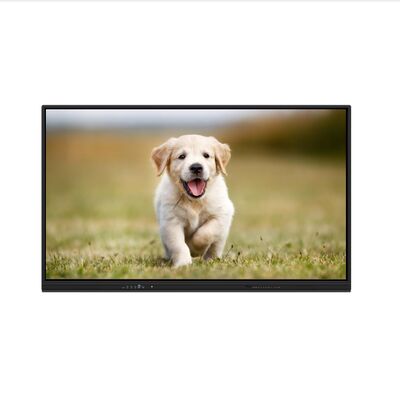 iBoard Tabuleiro interativo Android 16 certificado pela EDLA Interactive Flat Panel