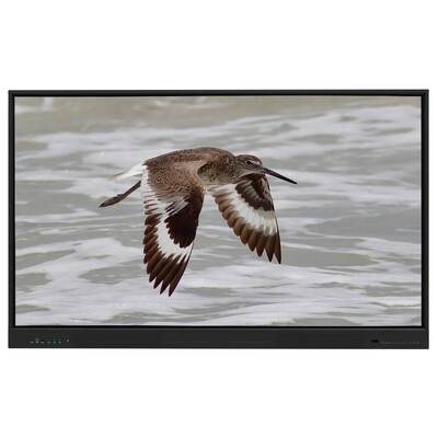 Iboard Tabuleiro Interativo Android 15 EDLA com painel de 65 polegadas para aprendizado eletrônico