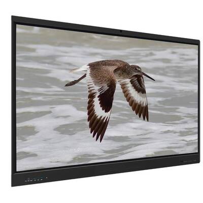 Iboard Tabuleiro Interativo Android 15 EDLA com painel de 65 polegadas para aprendizado eletrônico