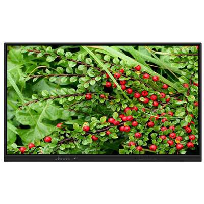 Quadro interativo OEM de 75 polegadas com alto-falantes para ensino em casa e reuniões Zoom