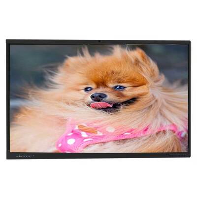 IBoard Touchscreen Interativo Painel Flat com Windows OPS Computador Opcional, 1,07 G Profundidade de Cor (8bits+FRC) e 350 Cd/m2 Brilho para salas de reuniões modernas