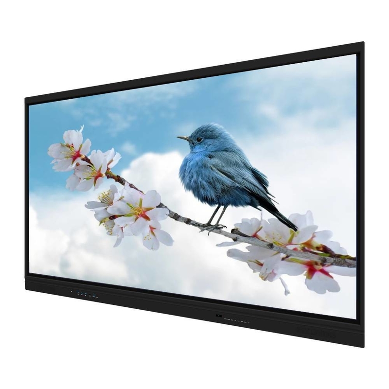 55 65 75 86 98 polegadas Suporte Dual Sistema Interativo Painel Flat Interativo Whiteboard Smart Board